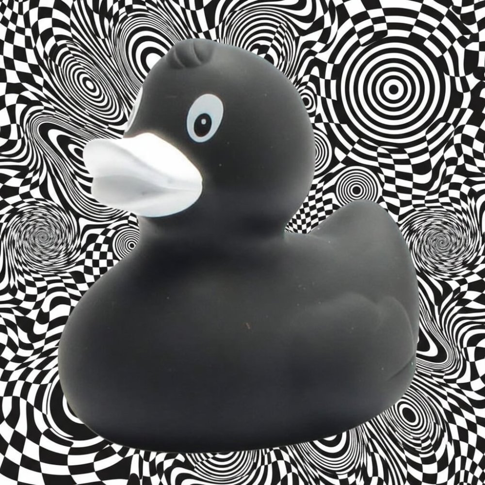 (image for) Annegret Black Duck