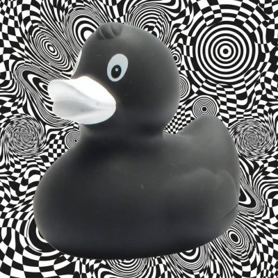 Annegret Black Duck (image for) Annegret Black Duck