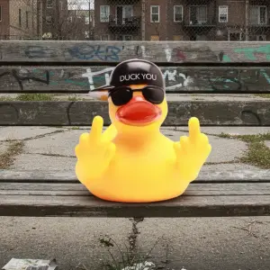 (image for) Duck You Hat Duck