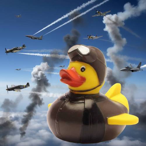 (image for) Old-Fashioned Pilot Duck