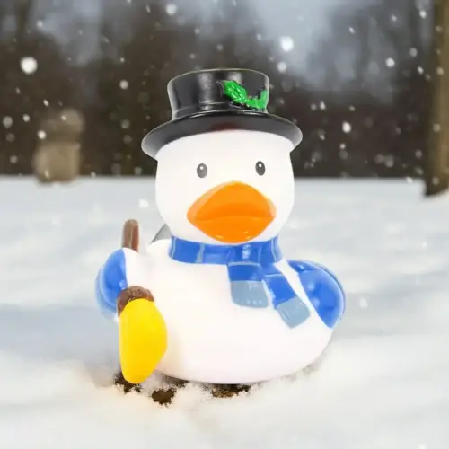 (image for) Frosty the Snowman Duck