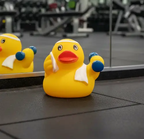 (image for) Gym Exercise Fitness Duck