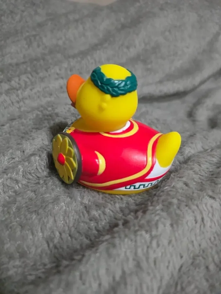 Italian Roman Duck