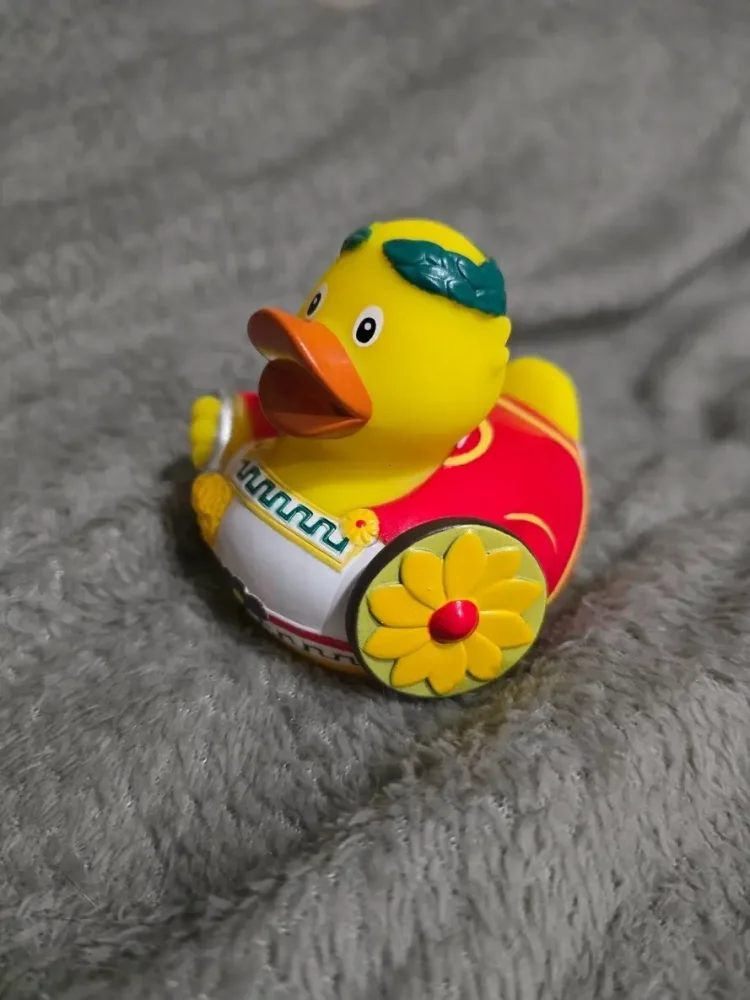 Italian Roman Duck