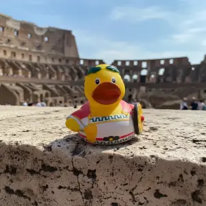 (image for) Italian Roman Duck