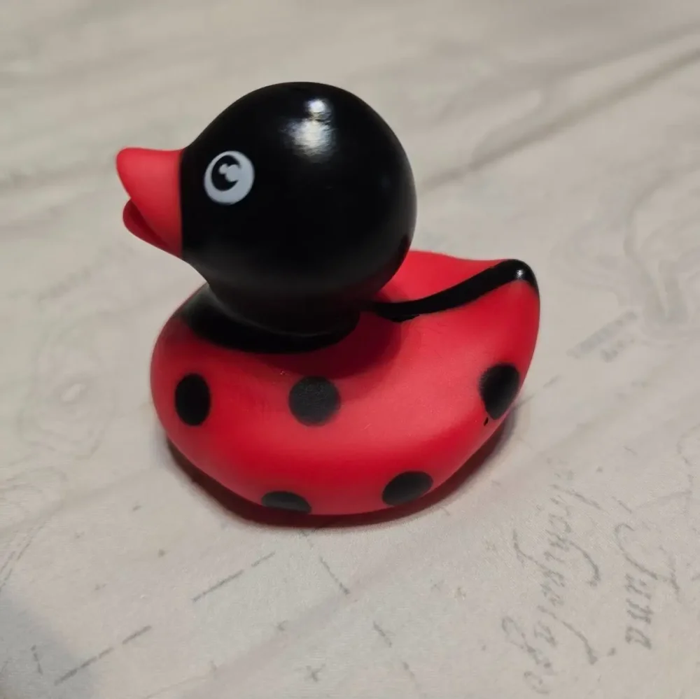 Ladybug Duck