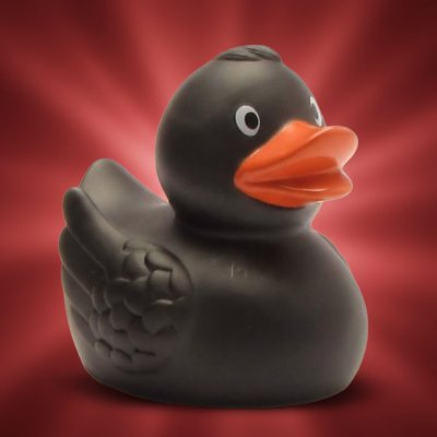 Merle Black Duck (image for) Merle Black Duck