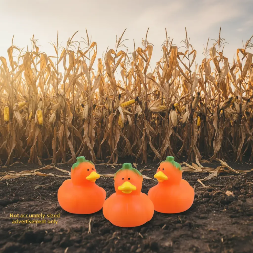 (image for) Pumpkin Micro Duck 3pc