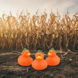 (image for) Pumpkin Micro Duck 3pc
