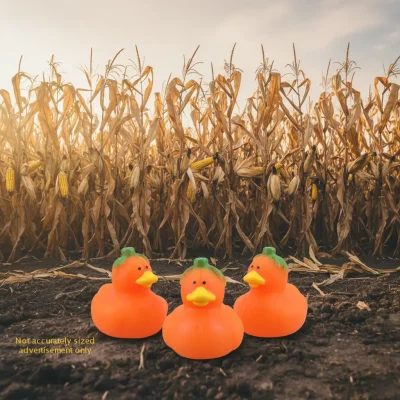(image for) Pumpkin Micro Duck 3pc