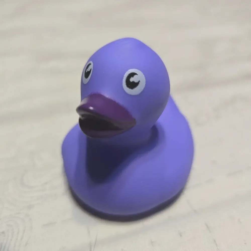 Modal Additional Images for Purple Duck 10pc