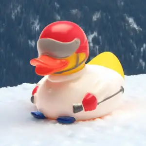 (image for) Winter Skier Skiing Ski Duck