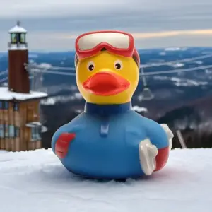 (image for) Snow Boarder Duck