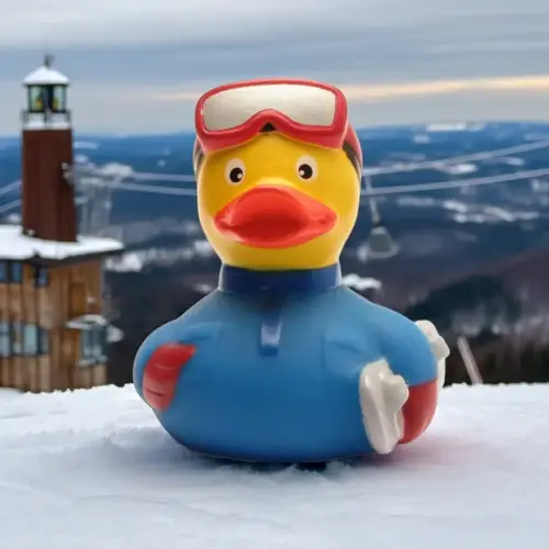 (image for) Snow Boarder Duck