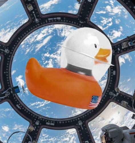 (image for) Space Astronaut Cosmonaut Duck