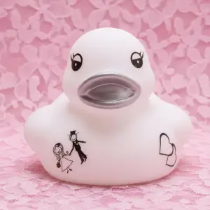 (image for) Just Married Stick Couple Ducks