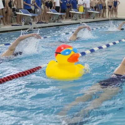 (image for) Swimmer Duck