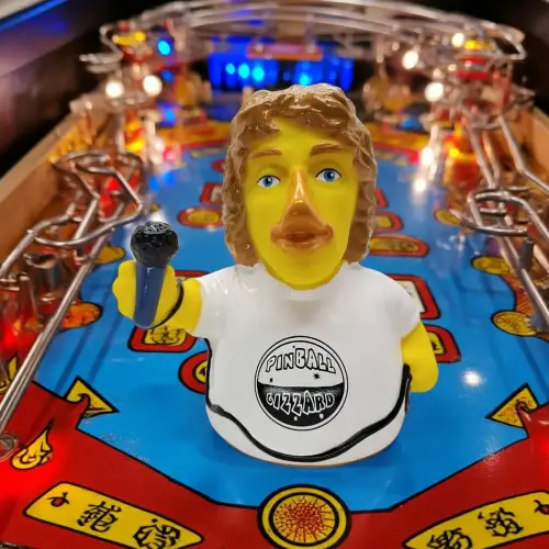 (image for) Pinball Gizzard Duck