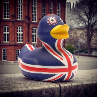 British - Union Jack Duck (image for) British - Union Jack Duck