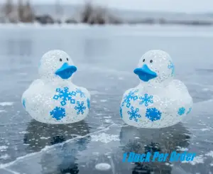(image for) Winter Snowflake Glitter Ducks
