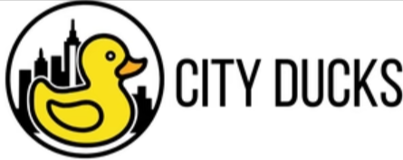 (image for) City Ducks