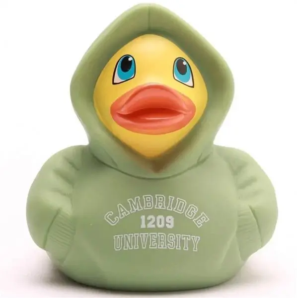Modal Additional Images for Cambridge Hoodie Duck Green