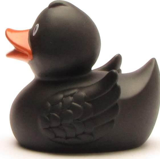 Merle Black Duck