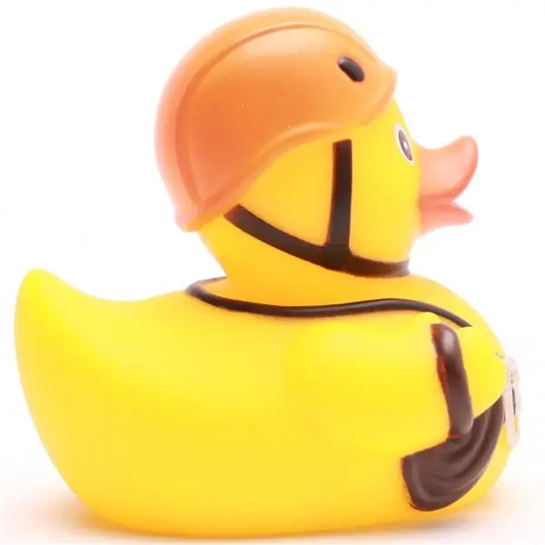 Mountain Climbing Mountaineer Duck