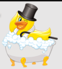 (image for) CelebriDucks