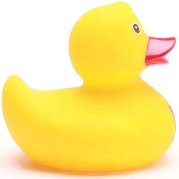 Fake It Till You Make It Duck