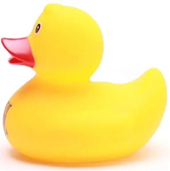 Fake It Till You Make It Duck