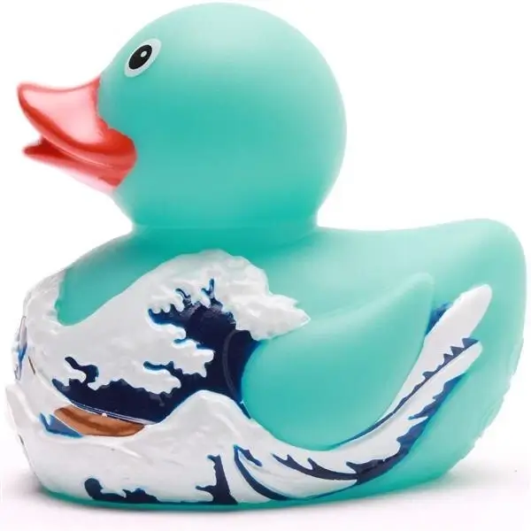 Fuji Wave Duck