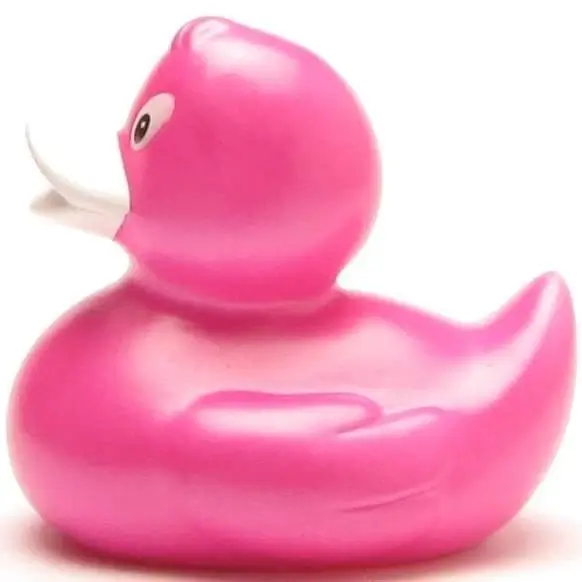 Elena Hot Pink Duck