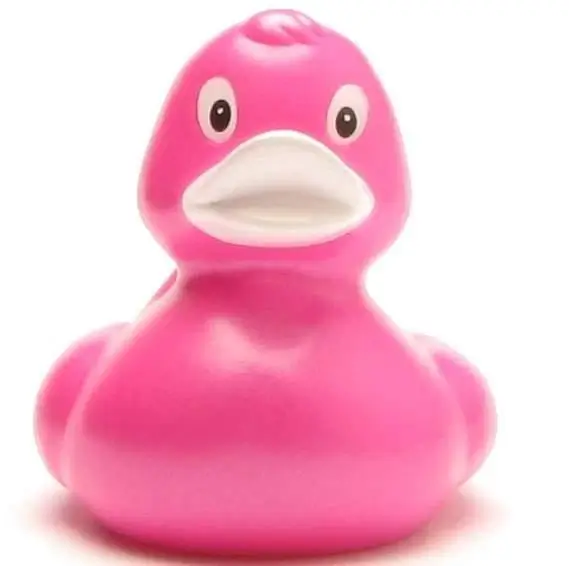 Modal Additional Images for Elena Hot Pink Duck
