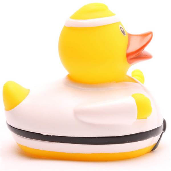 Karate Fighter Duck