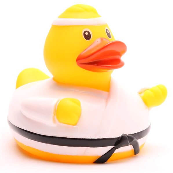 Karate Fighter Duck