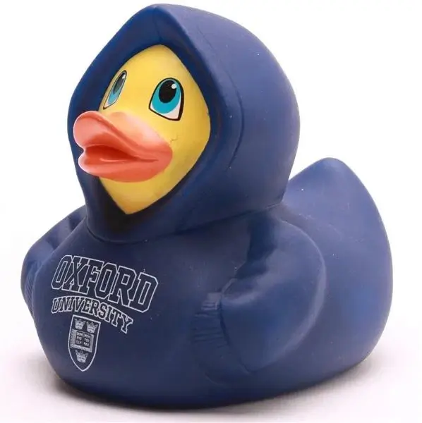Oxford Hoodie Duck Blue