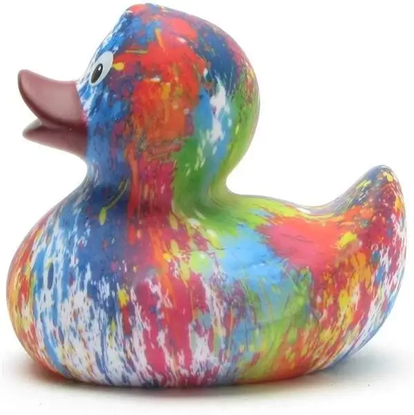 Rainbow Tie Dyed Duck