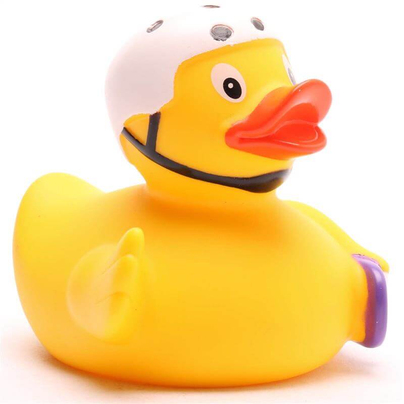 Skateboarder Skater Duck