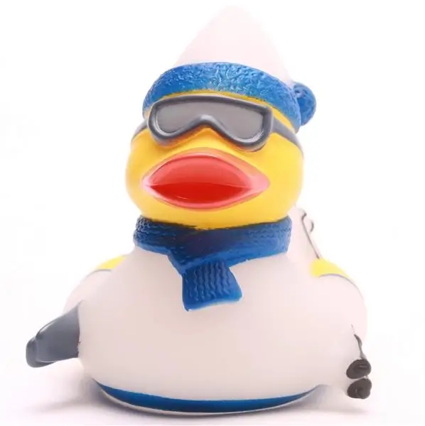 Skiing Winter Ski Duck