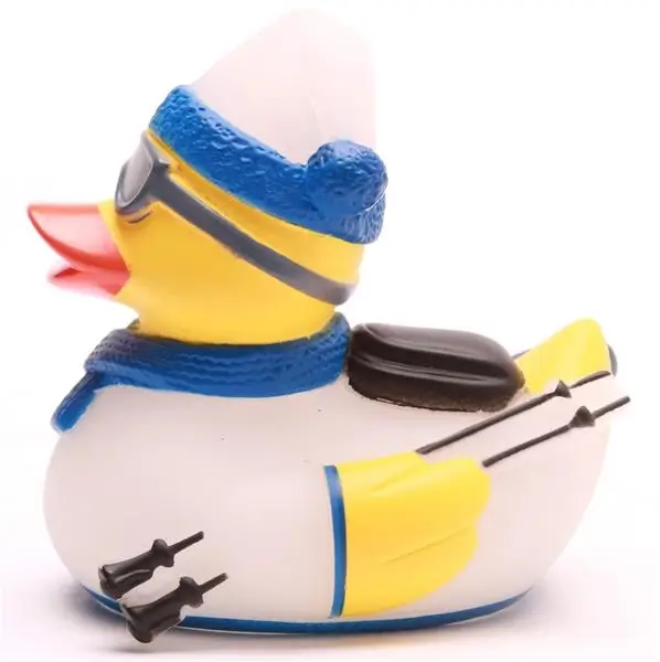 Skiing Winter Ski Duck