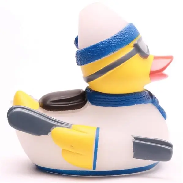 Skiing Winter Ski Duck