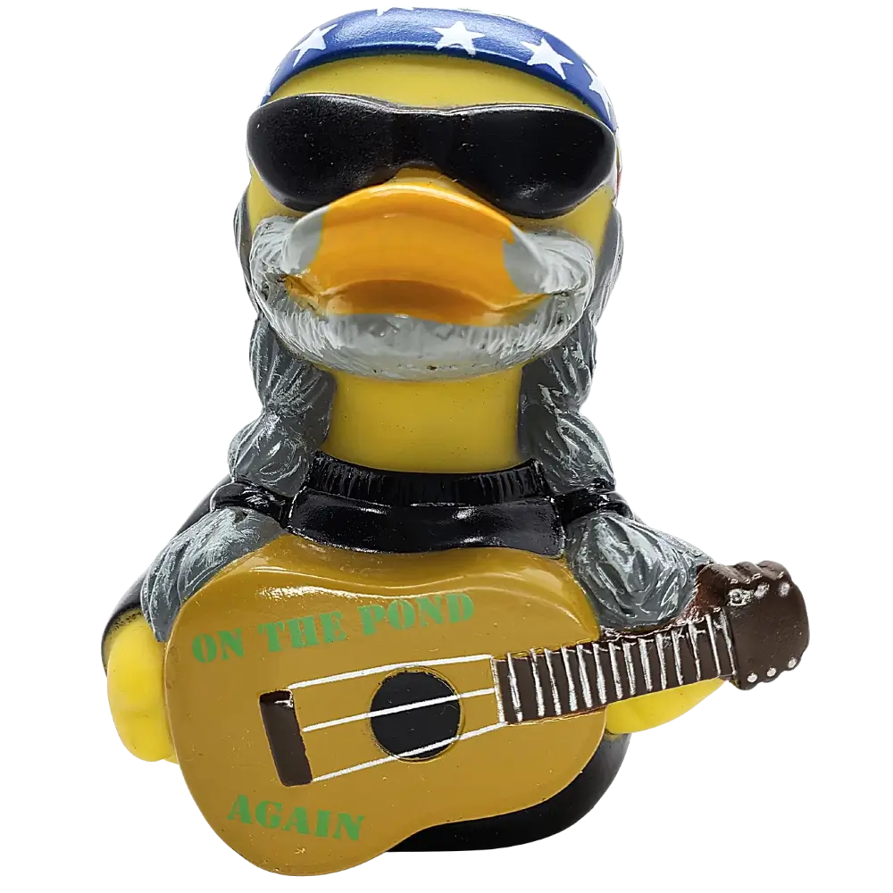 On the Pond Again Duck